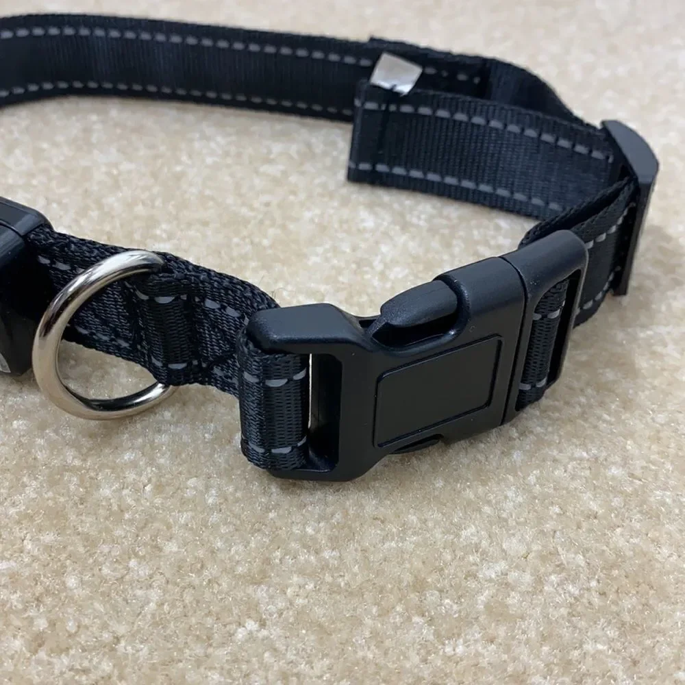 Dog Collar Solar & USB Powered Light Up - L